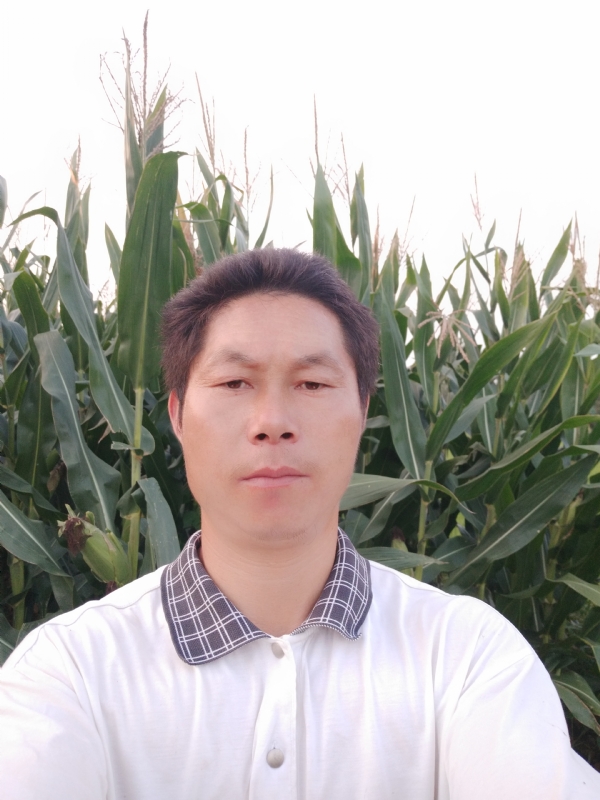 四海游龙的第二张照片--荆州相亲服务中心