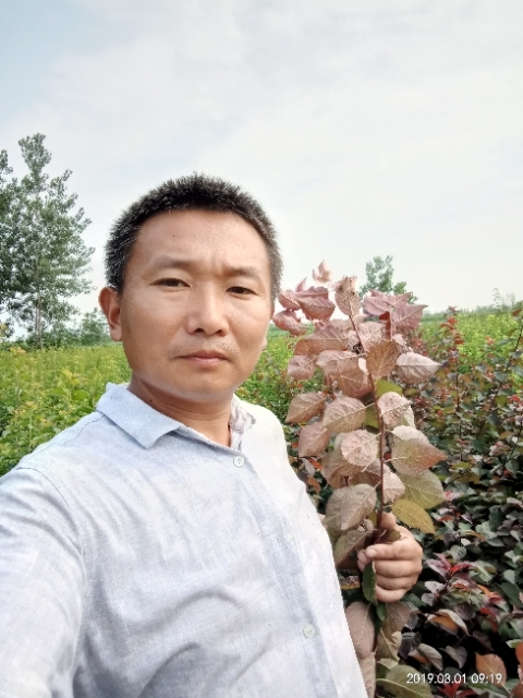 孩子爸的第二张照片--荆州相亲服务中心