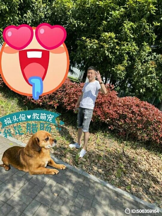 我若不坚强谁替我勇敢的第一张照片--荆州相亲服务中心
