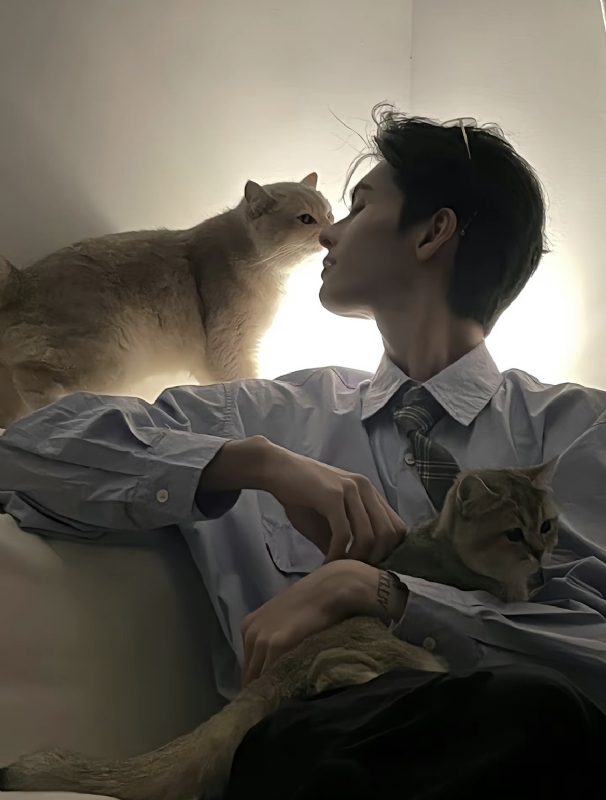 怪猫的第一张照片--荆州相亲服务中心